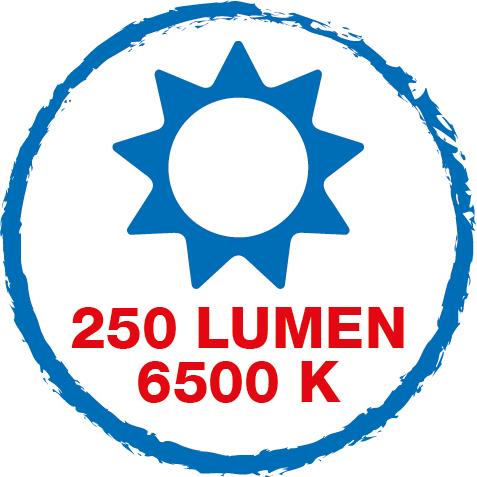 LED Werklamp | Drie helderheidsniveaus zorgen voor optimale zichtbaarheid en veilig werken in donkere werkomgevingen