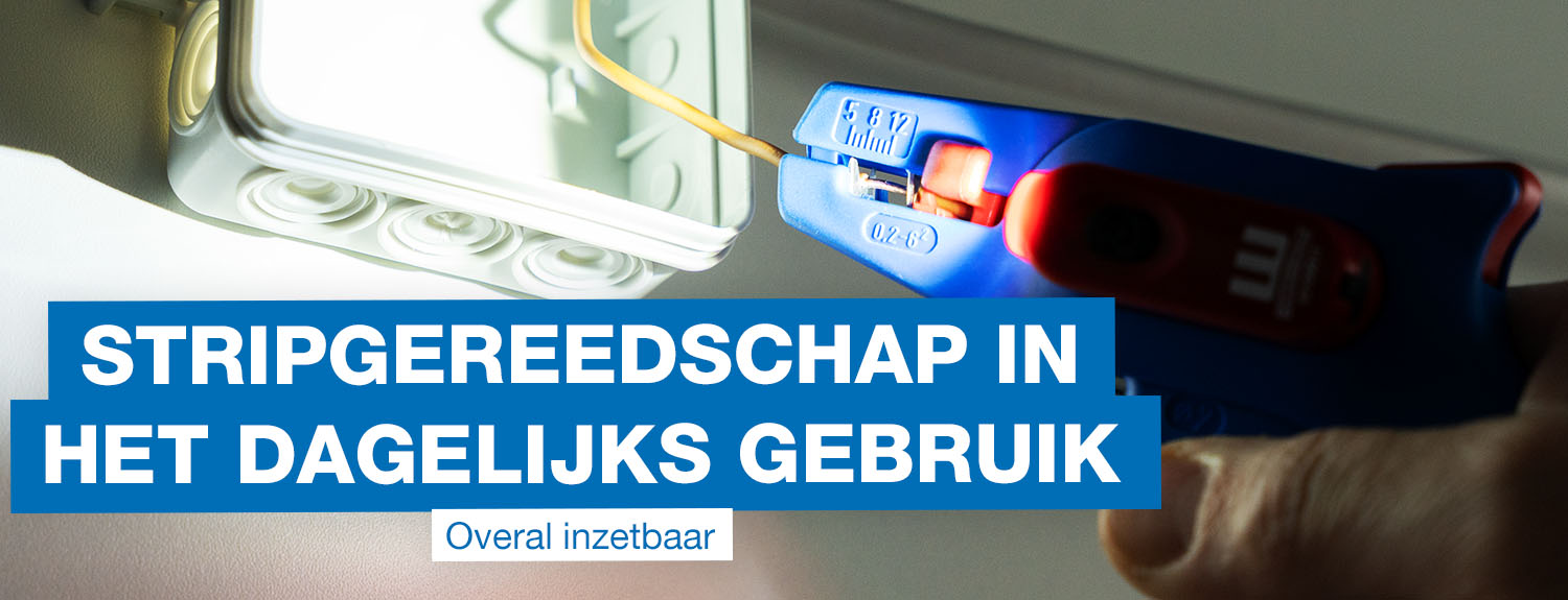 seatbelt, strap, clip, inflight, aircraft